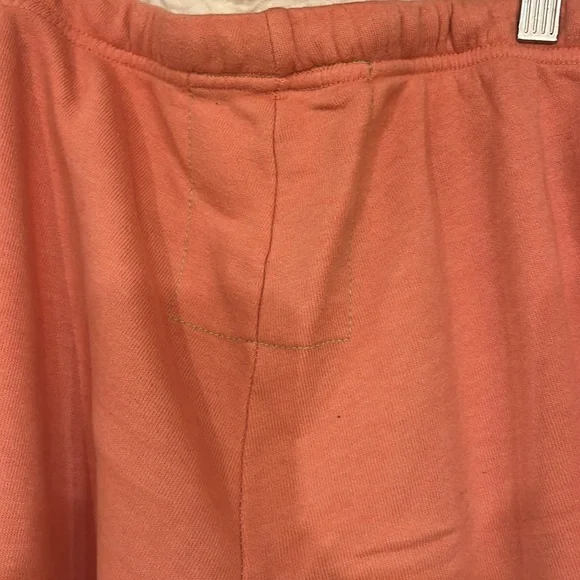 Aviator Nation Chevron Stripe Joggers - Picture 10 of 11